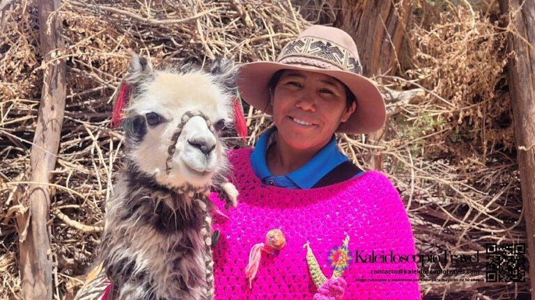 Una mujer sosteniendo una cría de alpaca de pelaje blanco y gris, ambas mirando a la cámara.
